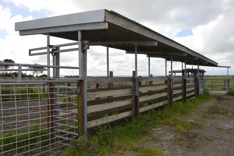 Seventh view of Homely rural property listing, 55 Murrays Road, Buffalo VIC 3958