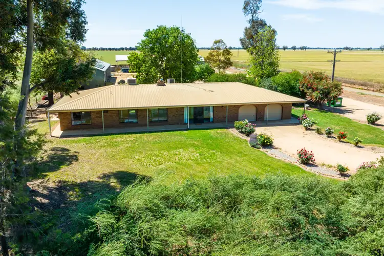 Fourth view of Homely rural property listing, 87 Pine Lodge Road, Tocumwal NSW 2714