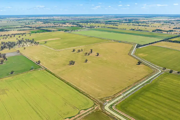 Sixth view of Homely rural property listing, 87 Pine Lodge Road, Tocumwal NSW 2714