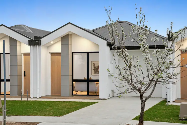 5 Bristol Avenue, Camden Park SA 5038