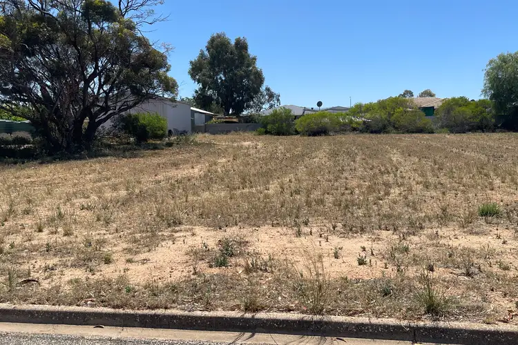 11 Woodrup Road, Wudinna SA 5652