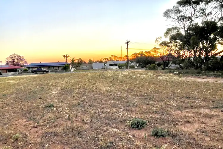 Second view of Homely land listing, 11 Woodrup Road, Wudinna SA 5652
