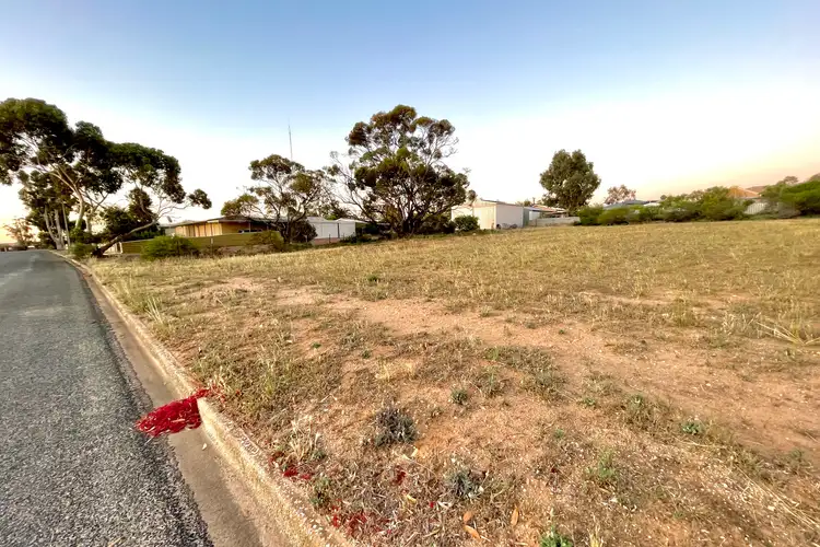 Third view of Homely land listing, 11 Woodrup Road, Wudinna SA 5652