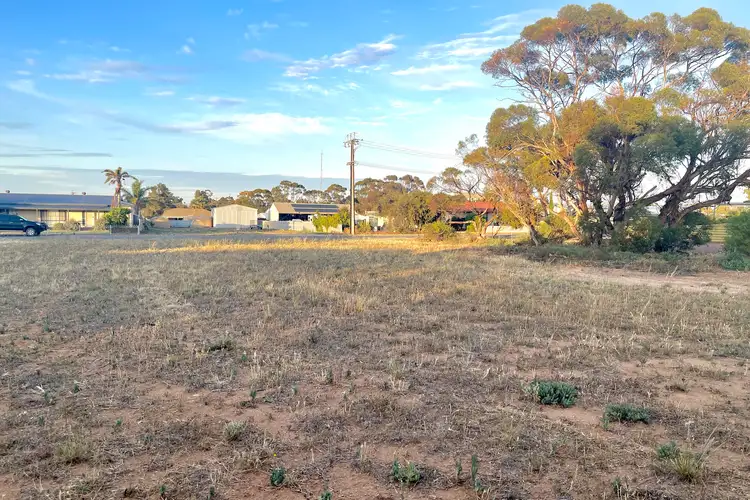 Sixth view of Homely land listing, 11 Woodrup Road, Wudinna SA 5652