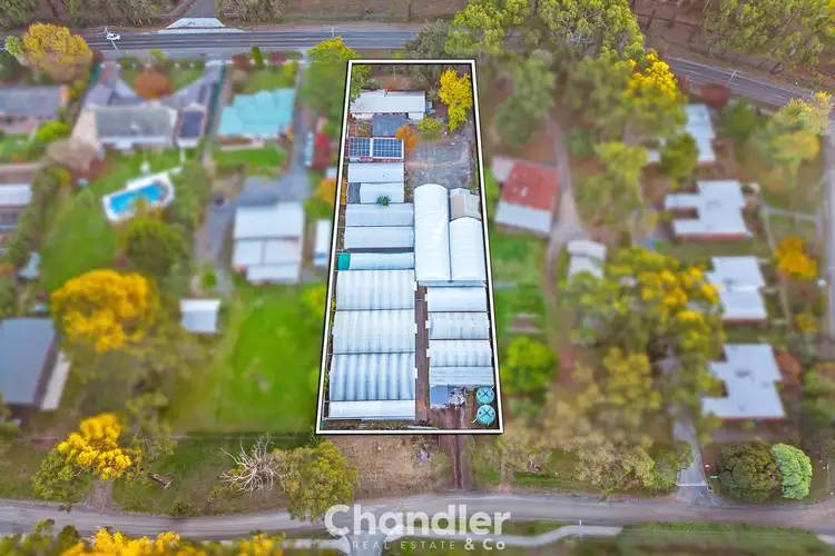 Main view of Homely house listing, 429 Monbulk Road, Monbulk VIC 3793