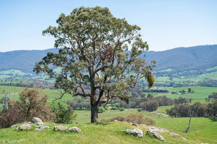 Third view of Homely rural property listing, Lot 3 Miller Road, Staghorn Flat VIC 3691