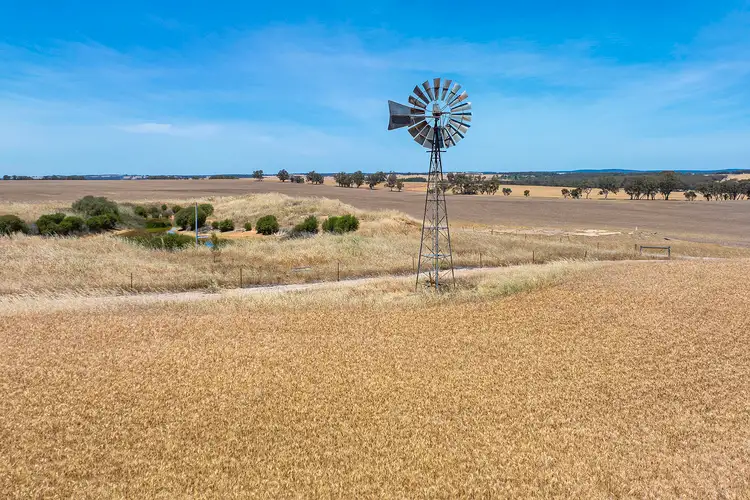 Fifth view of Homely rural property listing, 66 Fowler Road, Bolgart WA 6568