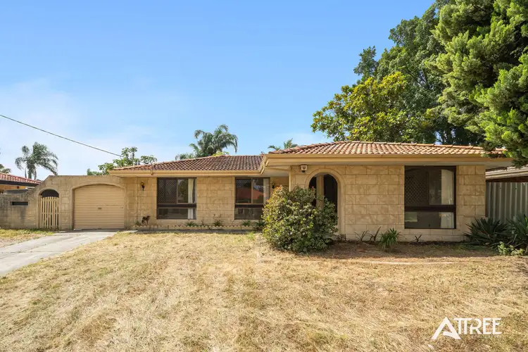 Main view of Homely house listing, 3 Tewson Road, Camillo WA 6111