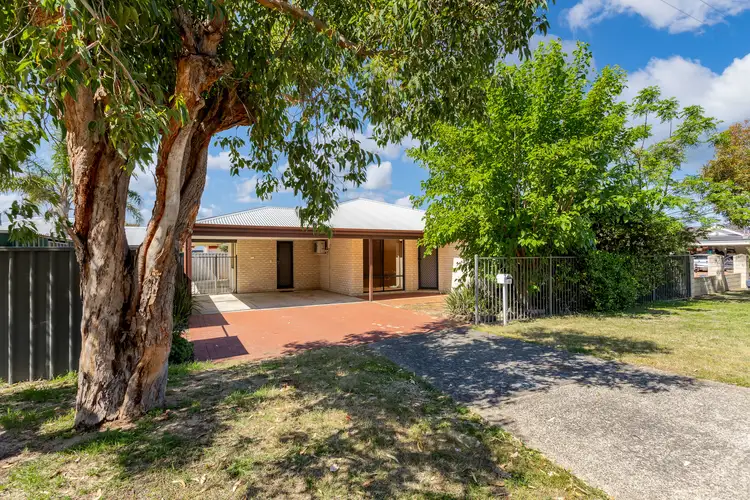 1A Little Street, Carey Park WA 6230