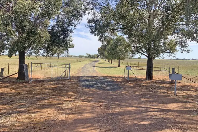 71 Gospers Lane, Peak Hill NSW 2869