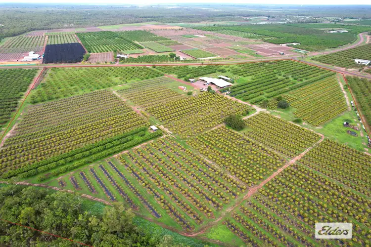 Main view of Homely rural property listing, 125 Buckley Road, Lambells Lagoon NT 822