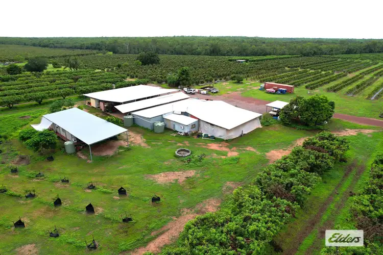 Sixth view of Homely rural property listing, 125 Buckley Road, Lambells Lagoon NT 822