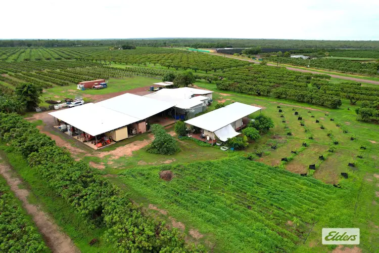 Seventh view of Homely rural property listing, 125 Buckley Road, Lambells Lagoon NT 822