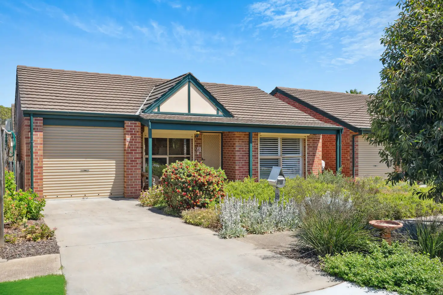 Main view of Homely villa listing, 8 Teak Street, Flinders Park SA 5025
