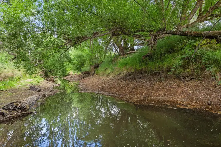 Fifth view of Homely house listing, 102 Sandow Road, Verdun SA 5245