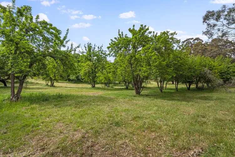 Sixth view of Homely house listing, 102 Sandow Road, Verdun SA 5245