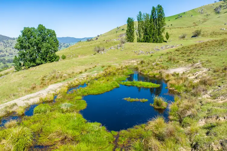 Fifth view of Homely rural property listing, Lots 321 & 720 River Road, Ournie NSW 2640