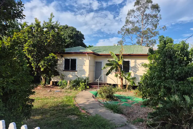 19 Banks Street, Wulguru QLD 4811