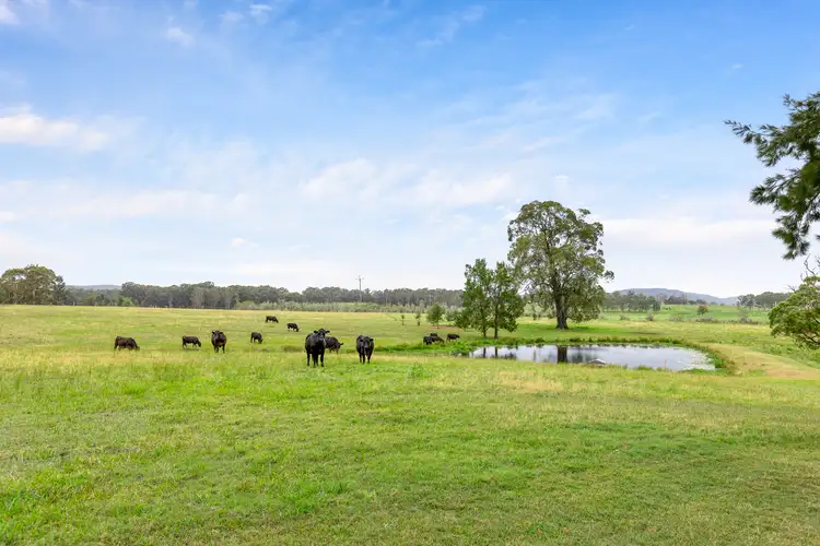 Fourth view of Homely rural property listing, 381 Glen Martin Road, Clarence Town NSW 2321