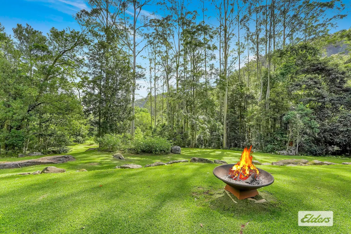 Main view of Homely rural property listing, 87 Kingtree Lane, Cedar Brush Creek NSW 2259