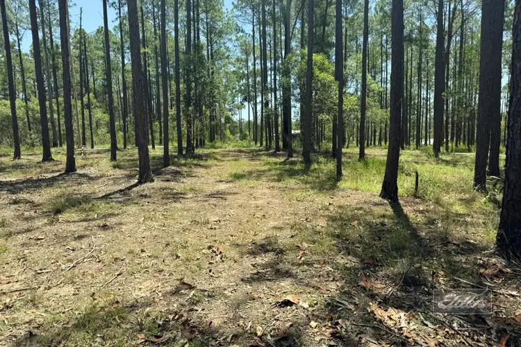 Main view of Homely land listing, Lot 811 Arborthirty One Road, Glenwood QLD 4570