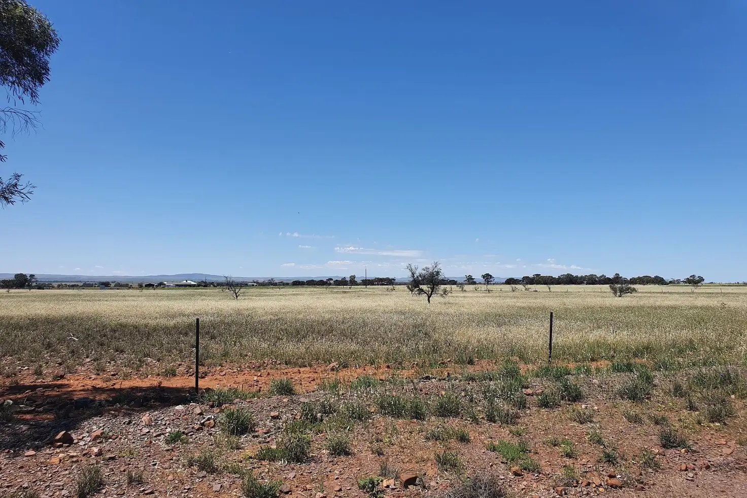 Main view of Homely land listing, 324 Modystach Road, Wilmington SA 5485
