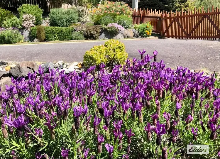 Fifth view of Homely house listing, 3 Redruth Court, Spreyton TAS 7310