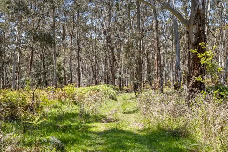 Fifth view of Homely land listing, 123 Sharpes Lane, Glenlyon VIC 3461