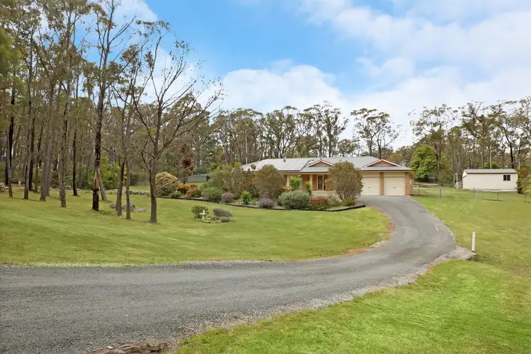 41 Rosina Street