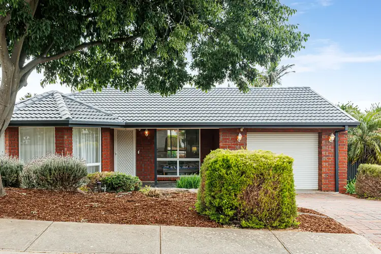 Main view of Homely house listing, 20 Tyrone Court, Wynn Vale SA 5127