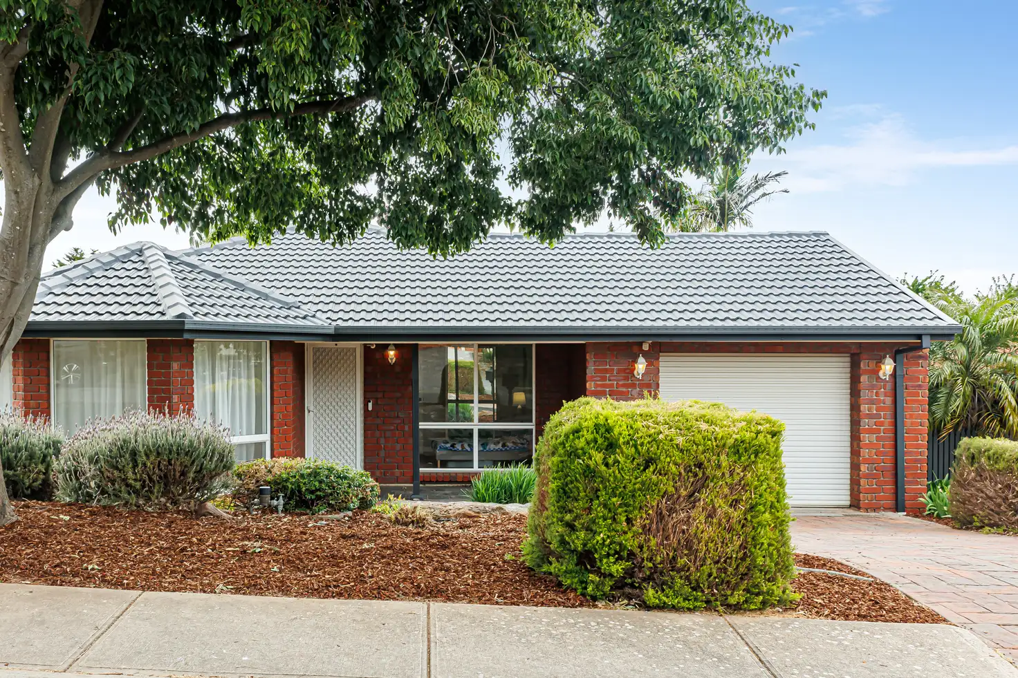 Main view of Homely house listing, 20 Tyrone Court, Wynn Vale SA 5127