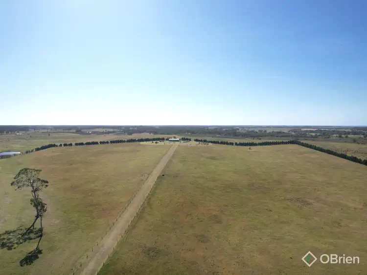 Fifth view of Homely rural property listing, 845 Lindenow-Meerlieu Road, Bengworden VIC 3875