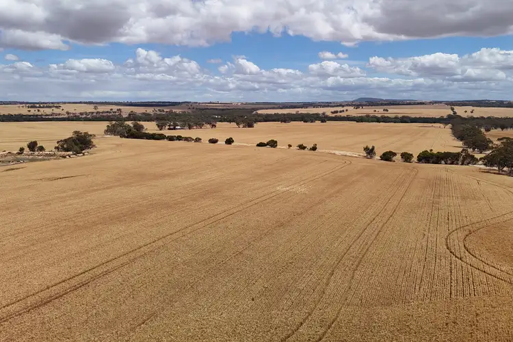 Fifth view of Homely rural property listing, LOT 21 Caljie Road, Caljie WA 6302