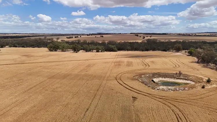 Sixth view of Homely rural property listing, LOT 21 Caljie Road, Caljie WA 6302