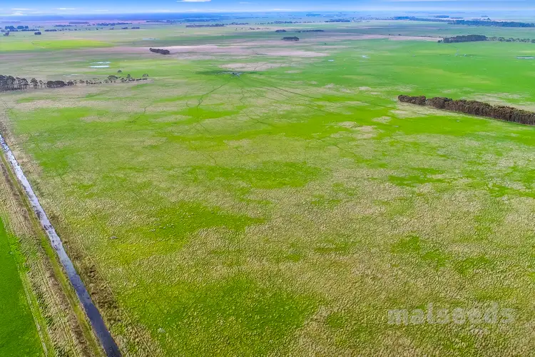 Third view of Homely rural property listing, 1795 Clay Wells Road, Clay Wells SA 5280