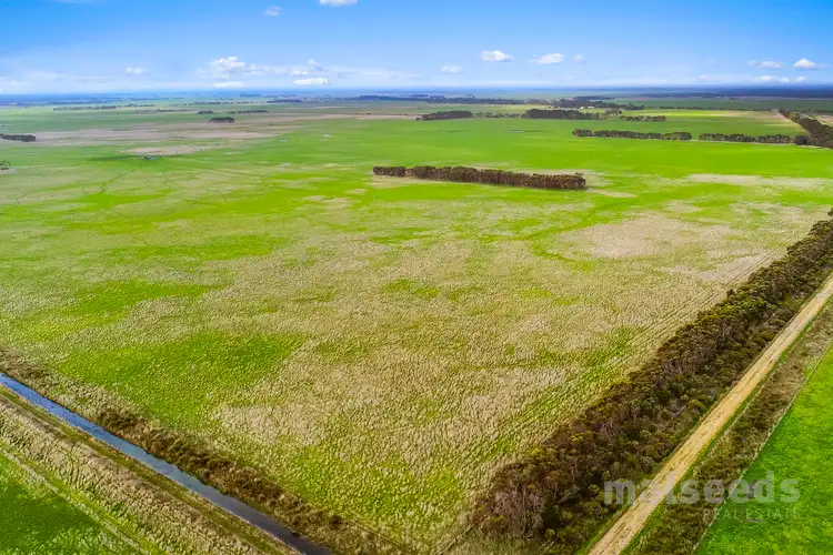 Fourth view of Homely rural property listing, 1795 Clay Wells Road, Clay Wells SA 5280