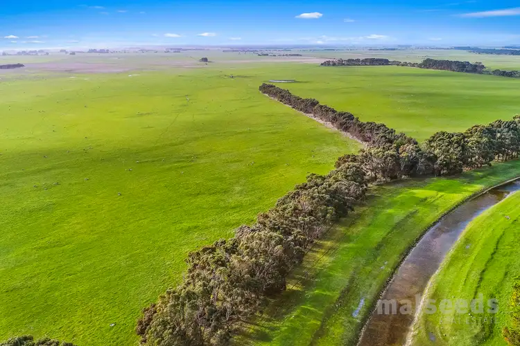 Fifth view of Homely rural property listing, 1795 Clay Wells Road, Clay Wells SA 5280