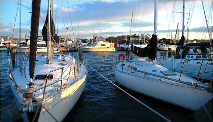 Sixth view of Homely studio listing, 202/4-18 Ferguson Street, Williamstown VIC 3016