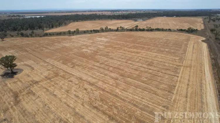 Second view of Homely rural property listing, 308 Dalby Kogan Road, Dalby QLD 4405