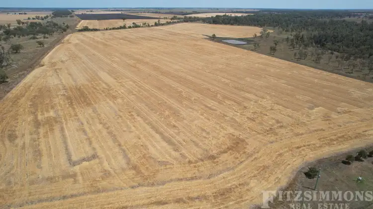 Third view of Homely rural property listing, 308 Dalby Kogan Road, Dalby QLD 4405