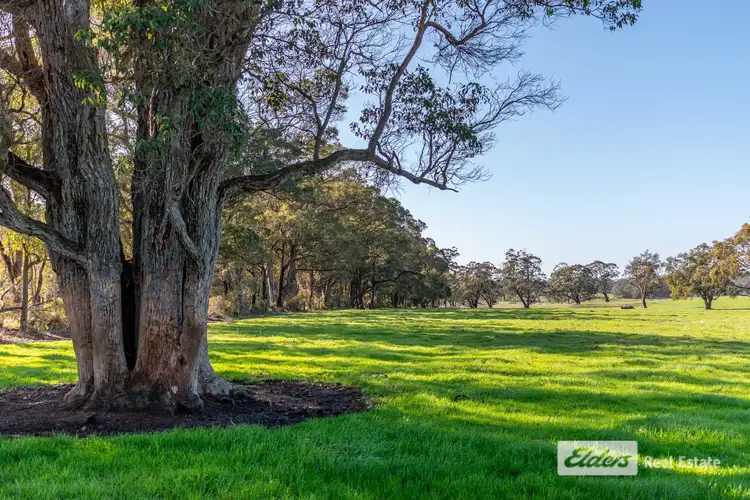 Third view of Homely rural property listing, 271 Wilson Road, Mount Barker WA 6324