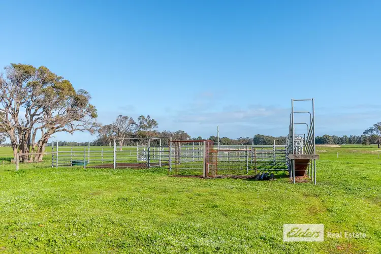 Fourth view of Homely rural property listing, 271 Wilson Road, Mount Barker WA 6324