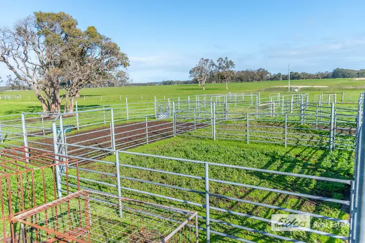 Fifth view of Homely rural property listing, 271 Wilson Road, Mount Barker WA 6324