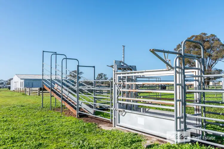 Sixth view of Homely rural property listing, 271 Wilson Road, Mount Barker WA 6324