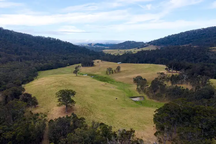 276 Little Careys Trail, Candelo NSW 2550