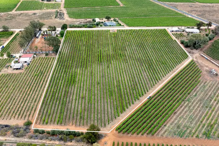 Third view of Homely rural property listing, 1248 Hodges Road, Glossop SA 5344