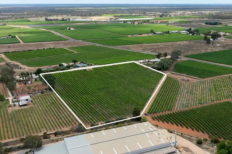 Fourth view of Homely rural property listing, 1248 Hodges Road, Glossop SA 5344