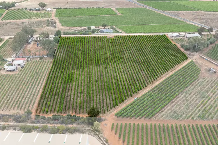 Fifth view of Homely rural property listing, 1248 Hodges Road, Glossop SA 5344