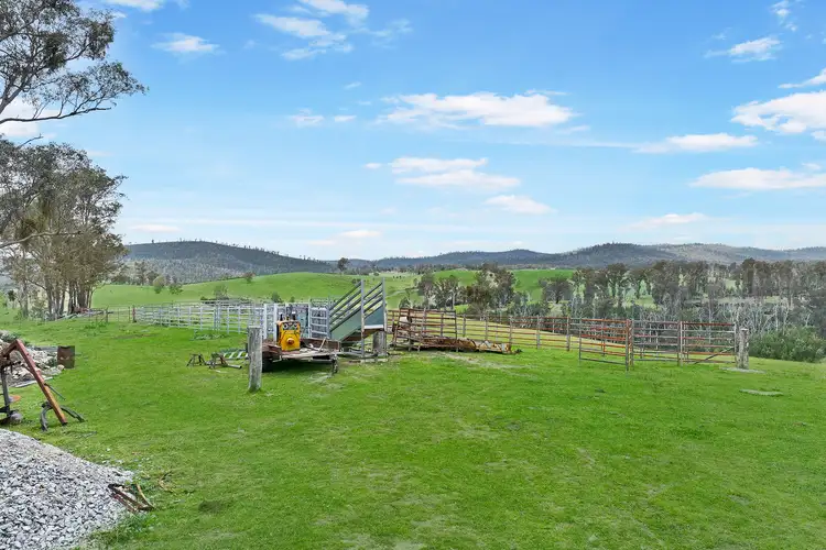 Sixth view of Homely rural property listing, 3492 Buchan-Orbost Road, Bete Bolong North VIC 3888