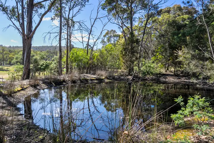 Seventh view of Homely land listing, Lot 2 Delmore Road, Forcett TAS 7173
